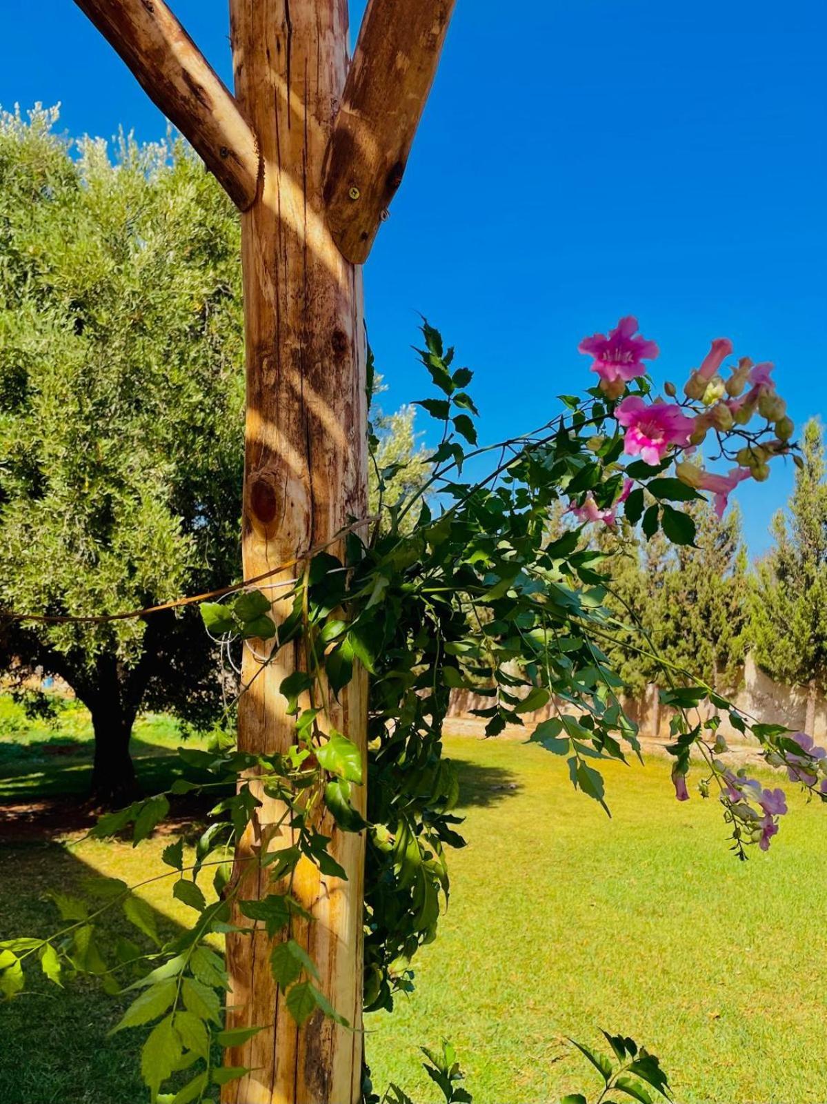 Riad Sabidi Suvayr Dış mekan fotoğraf