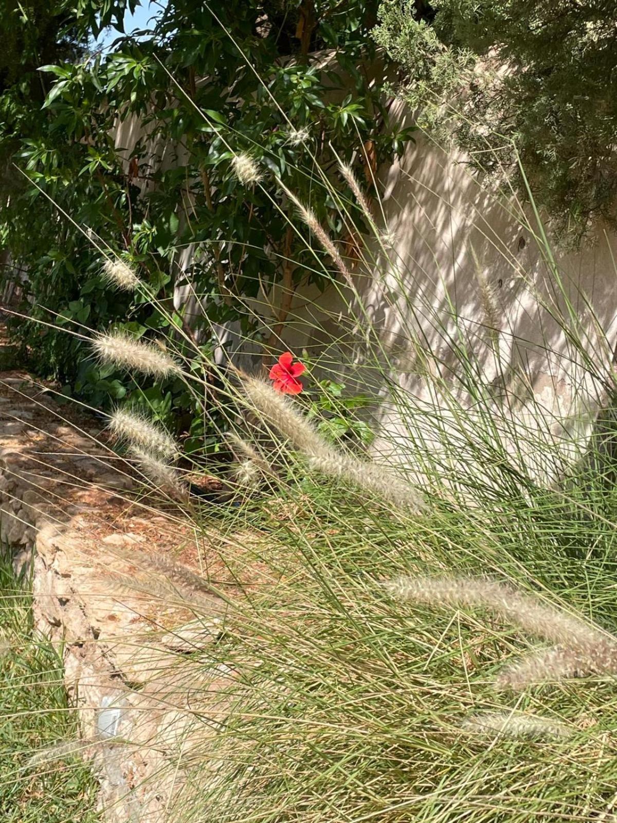 Riad Sabidi Suvayr Dış mekan fotoğraf
